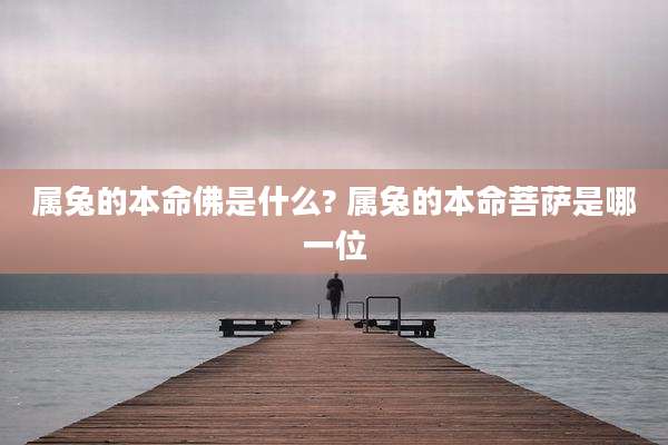 属兔的本命佛是什么? 属兔的本命菩萨是哪一位