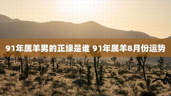 91年属羊男的正缘是谁 91年属羊8月份运势
