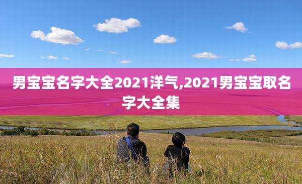 男宝宝名字大全2021洋气,2021男宝宝取名字大全集