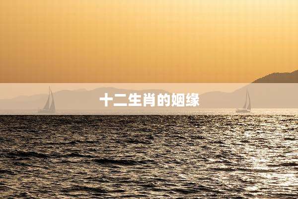 十二生肖的姻缘
