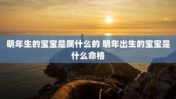 明年生的宝宝是属什么的 明年出生的宝宝是什么命格