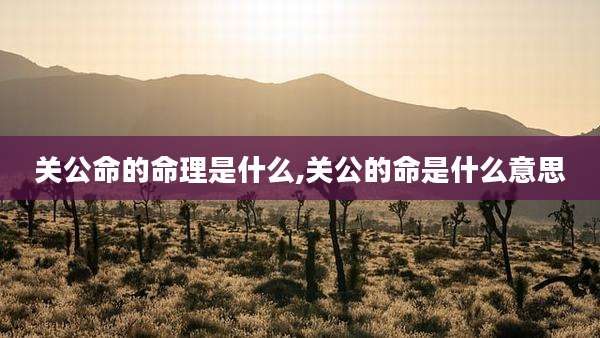关公命的命理是什么,关公的命是什么意思