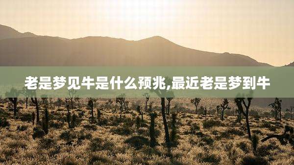 老是梦见牛是什么预兆,最近老是梦到牛
