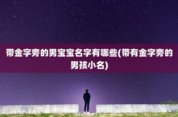 带金字旁的男宝宝名字有哪些(带有金字旁的男孩小名)