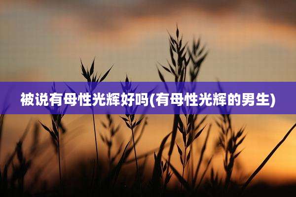 被说有母性光辉好吗(有母性光辉的男生)