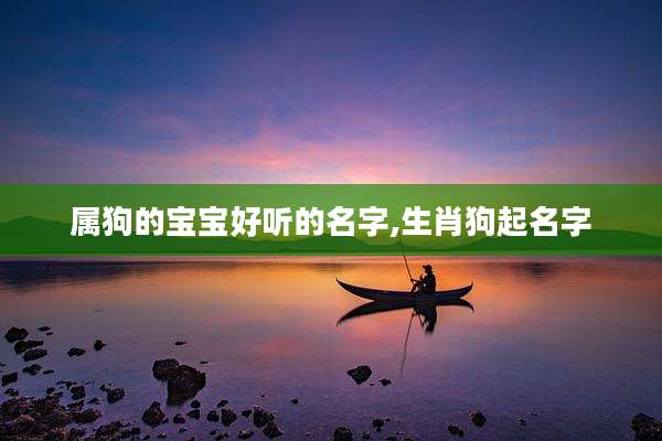 属狗的宝宝好听的名字,生肖狗起名字