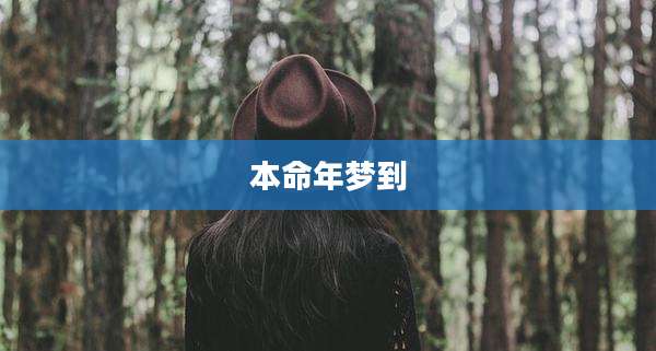 本命年梦到