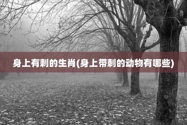 身上有刺的生肖(身上带刺的动物有哪些)
