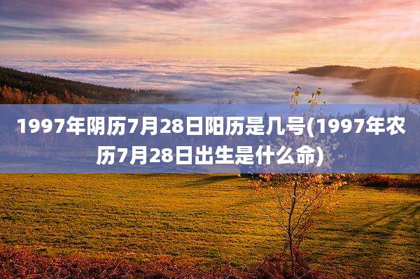 1997年阴历7月28日阳历是几号(1997年农历7月28日出生是什么命)