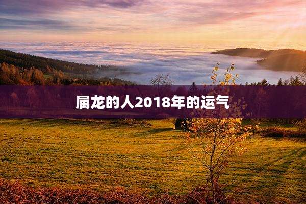 属龙的人2018年的运气