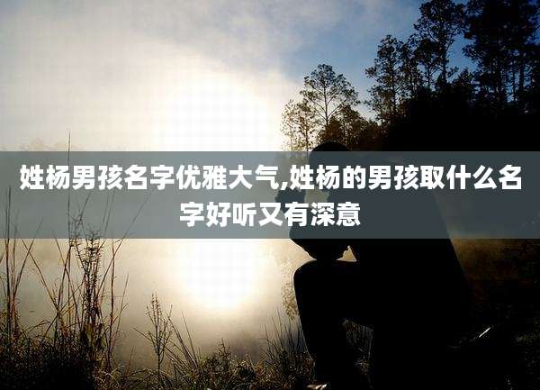 姓杨男孩名字优雅大气,姓杨的男孩取什么名字好听又有深意