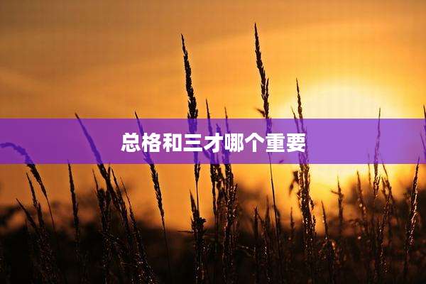 总格和三才哪个重要