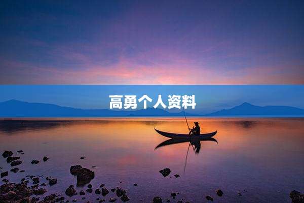 高勇个人资料