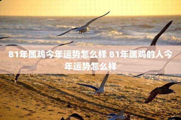 81年属鸡今年运势怎么样 81年属鸡的人今年运势怎么样