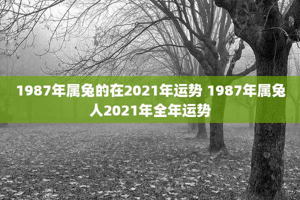 1987年属兔的在2021年运势 1987年属兔人2021年全年运势