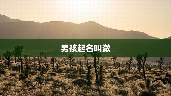男孩起名叫澈