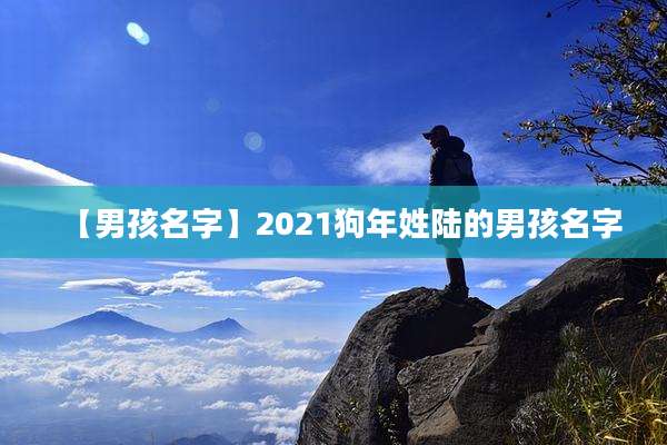 【男孩名字】2021狗年姓陆的男孩名字