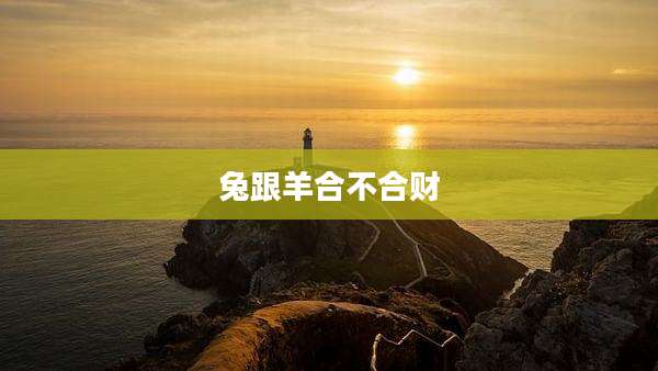 兔跟羊合不合财