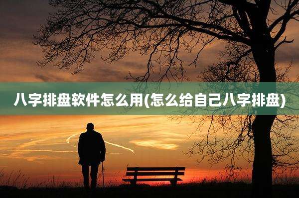 八字排盘软件怎么用(怎么给自己八字排盘)