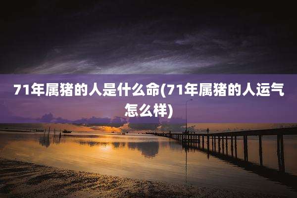 71年属猪的人是什么命(71年属猪的人运气怎么样)