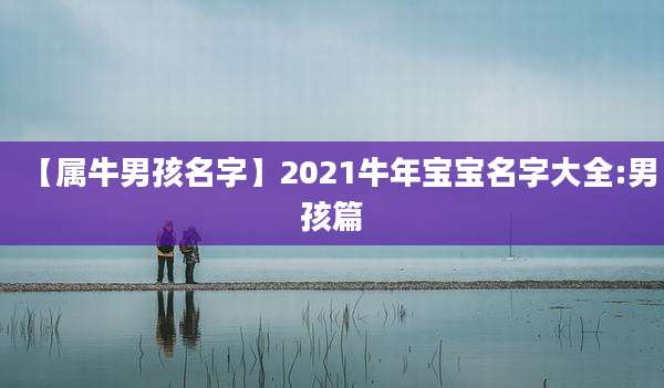 【属牛男孩名字】2021牛年宝宝名字大全:男孩篇