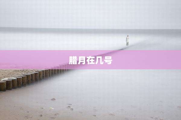 腊月在几号