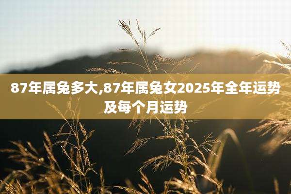 87年属兔多大,87年属兔女2025年全年运势及每个月运势
