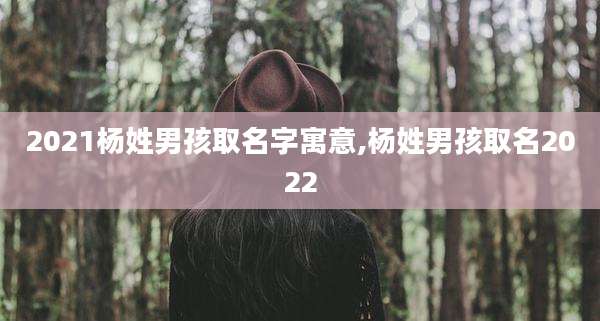 2021杨姓男孩取名字寓意,杨姓男孩取名2022