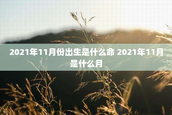 2021年11月份出生是什么命 2021年11月是什么月