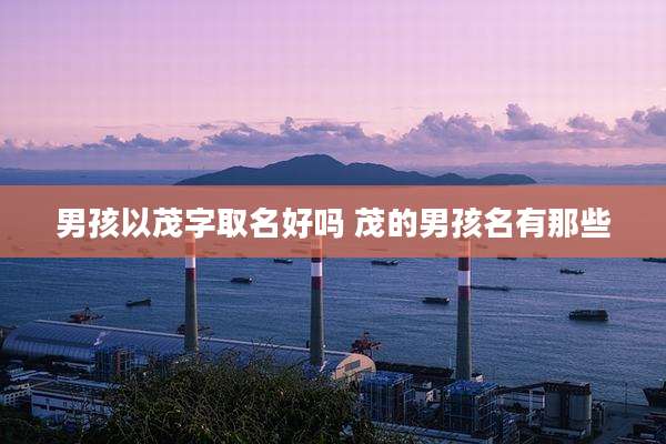 男孩以茂字取名好吗 茂的男孩名有那些