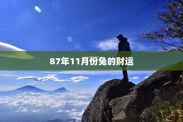 87年11月份兔的财运