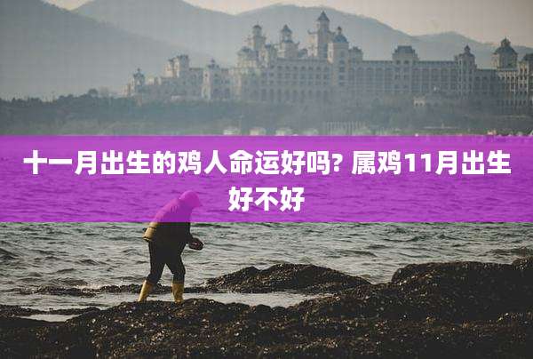 十一月出生的鸡人命运好吗? 属鸡11月出生好不好