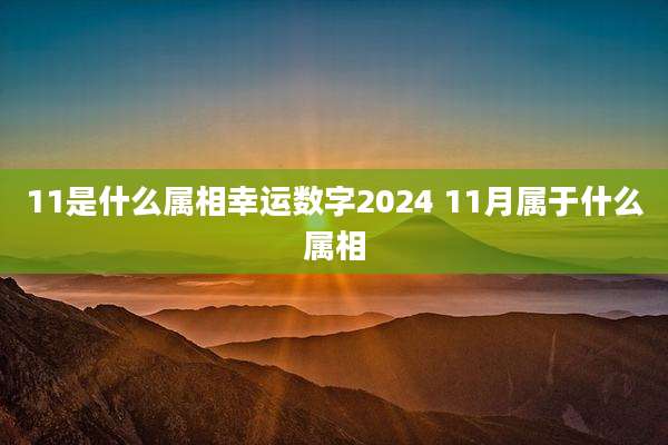 11是什么属相幸运数字2024 11月属于什么属相