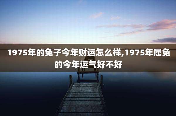 1975年的兔子今年财运怎么样,1975年属兔的今年运气好不好