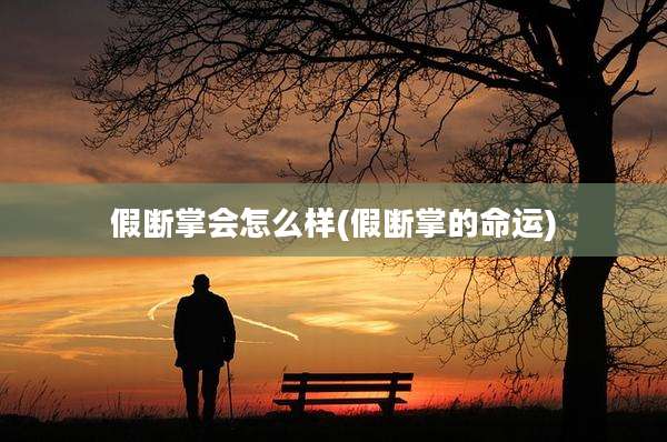 假断掌会怎么样(假断掌的命运)