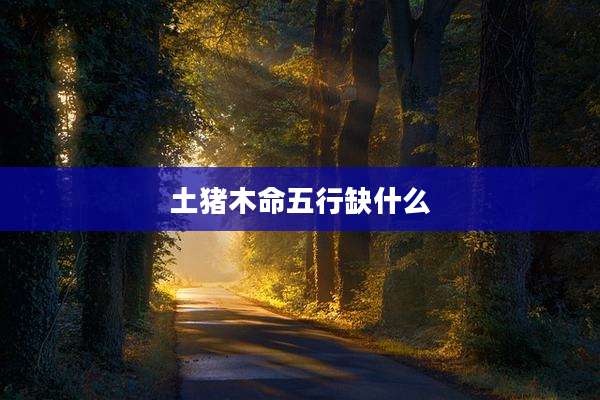 土猪木命五行缺什么