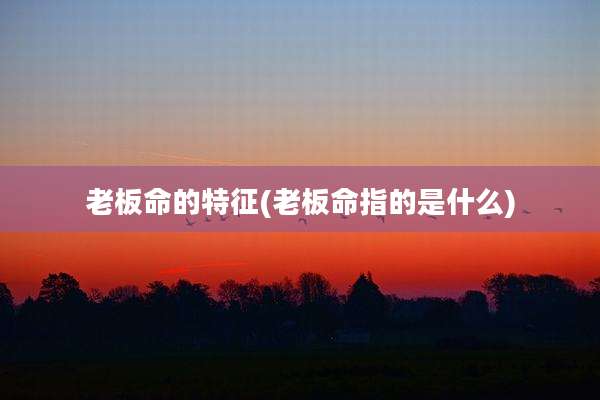 老板命的特征(老板命指的是什么)