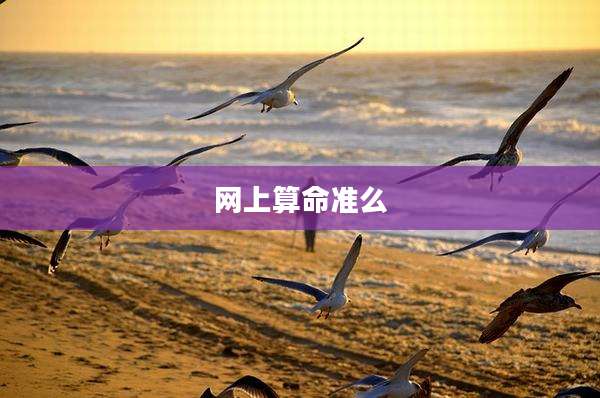 网上算命准么