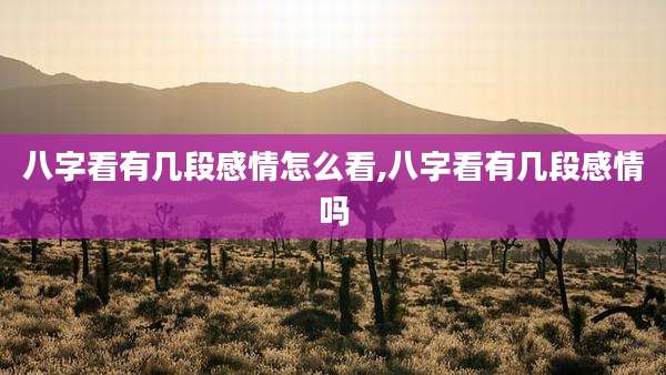 八字看有几段感情怎么看,八字看有几段感情吗