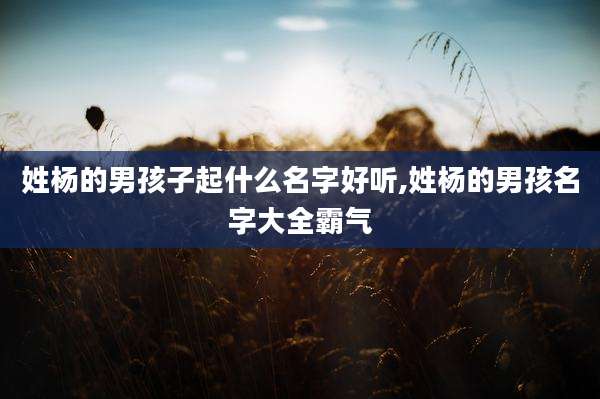 姓杨的男孩子起什么名字好听,姓杨的男孩名字大全霸气