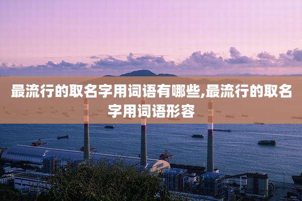 最流行的取名字用词语有哪些,最流行的取名字用词语形容