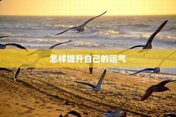 怎样提升自已的运气