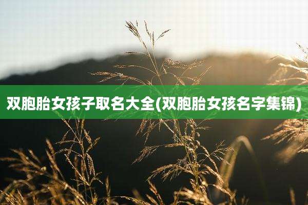 双胞胎女孩子取名大全(双胞胎女孩名字集锦)