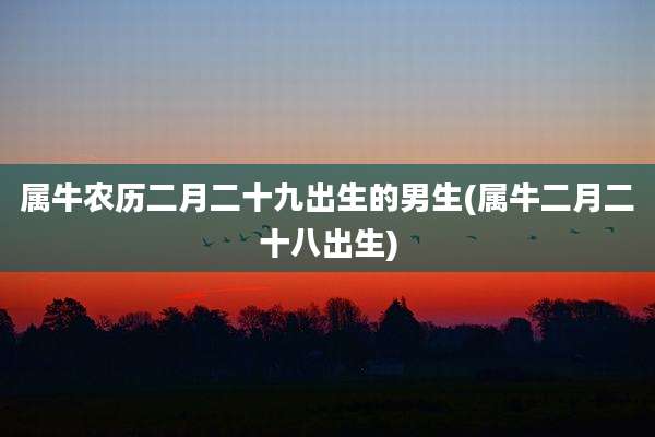 属牛农历二月二十九出生的男生(属牛二月二十八出生)