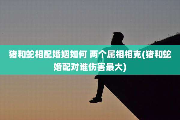 猪和蛇相配婚姻如何 两个属相相克(猪和蛇婚配对谁伤害最大)