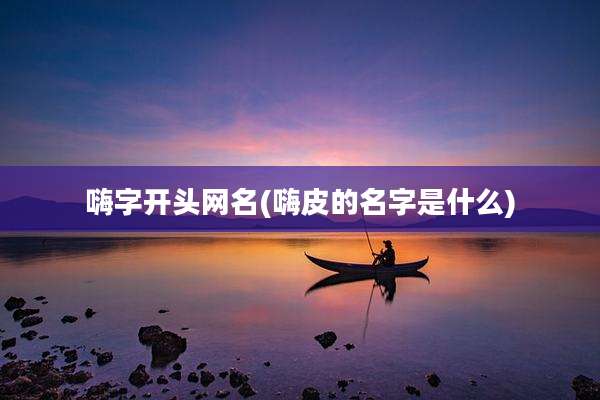 嗨字开头网名(嗨皮的名字是什么)