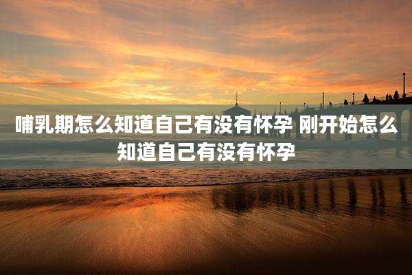 哺乳期怎么知道自己有没有怀孕 刚开始怎么知道自己有没有怀孕
