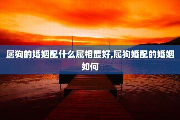 属狗的婚姻配什么属相最好,属狗婚配的婚姻如何