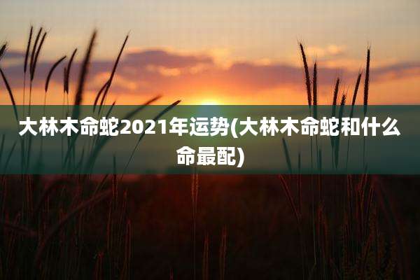 大林木命蛇2021年运势(大林木命蛇和什么命最配)
