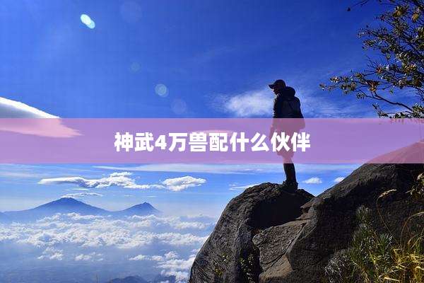 神武4万兽配什么伙伴